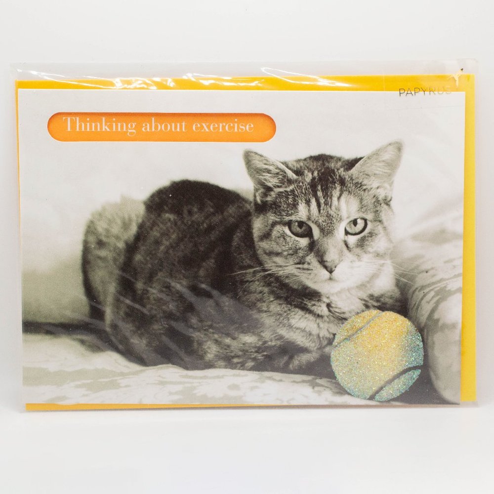 Thinking of You Exercise Cat Papyrus Card